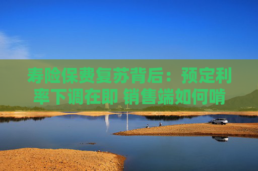 寿险保费复苏背后：预定利率下调在即 销售端如何啃下分红险“硬骨头”