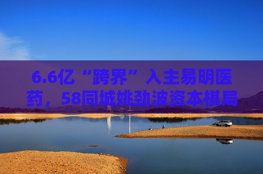 6.6亿“跨界”入主易明医药，58同城姚劲波资本棋局再落子