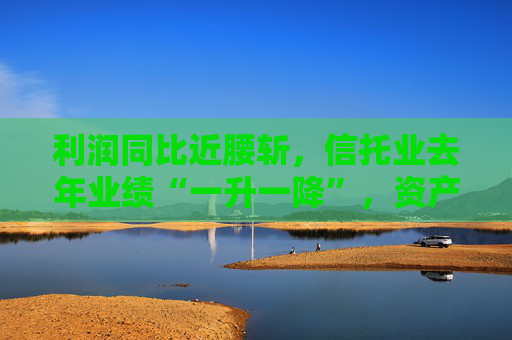 利润同比近腰斩，信托业去年业绩“一升一降”，资产规模创新高至29.56万亿元