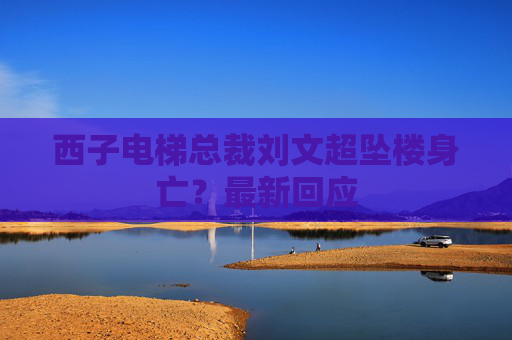 西子电梯总裁刘文超坠楼身亡？最新回应