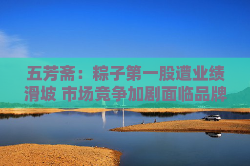 五芳斋：粽子第一股遭业绩滑坡 市场竞争加剧面临品牌与渠道的重构挑战