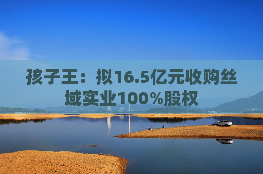 孩子王：拟16.5亿元收购丝域实业100%股权