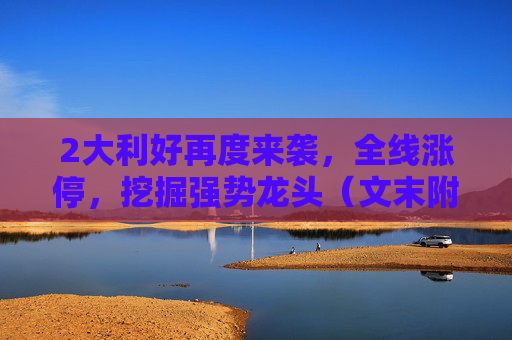 2大利好再度来袭，全线涨停，挖掘强势龙头（文末附名单）