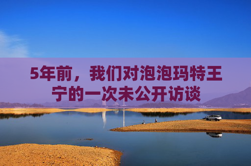 5年前，我们对泡泡玛特王宁的一次未公开访谈
