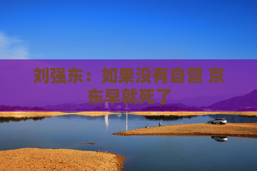 刘强东：如果没有自营 京东早就死了