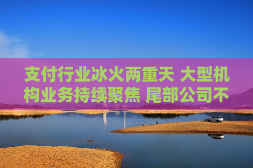 支付行业冰火两重天 大型机构业务持续聚焦 尾部公司不断出局