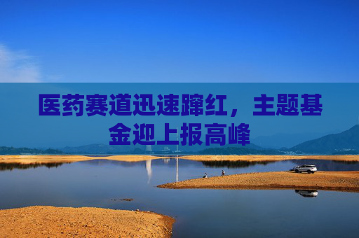医药赛道迅速蹿红，主题基金迎上报高峰