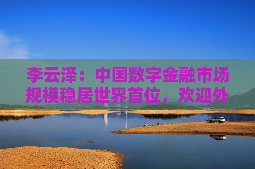 李云泽：中国数字金融市场规模稳居世界首位，欢迎外资机构深度参与