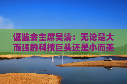 证监会主席吴清：无论是大而强的科技巨头还是小而美的科创新秀，都离不开资本市场的支持
