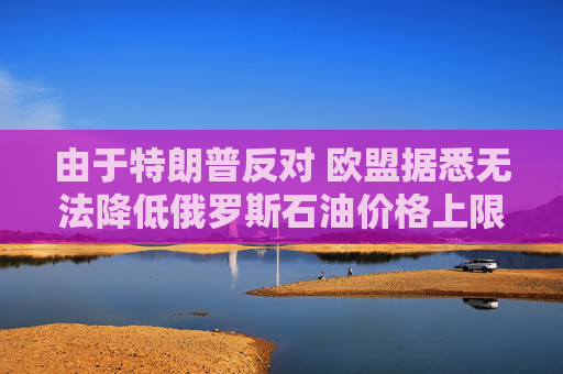 由于特朗普反对 欧盟据悉无法降低俄罗斯石油价格上限