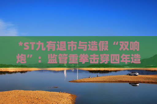 *ST九有退市与造假“双响炮”：监管重拳击穿四年造假迷雾