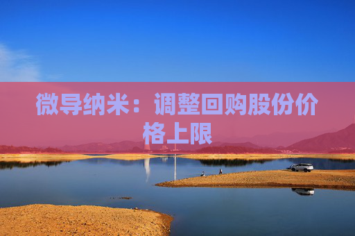 微导纳米：调整回购股份价格上限