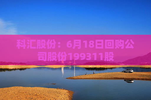 科汇股份：6月18日回购公司股份199311股
