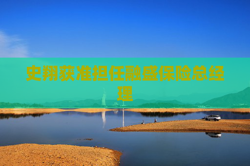 史翔获准担任融盛保险总经理