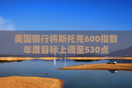 美国银行将斯托克600指数年度目标上调至530点