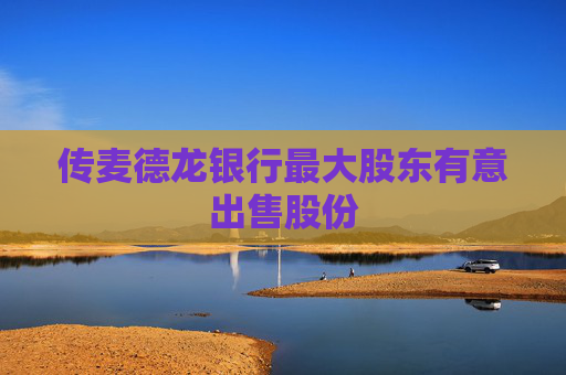 传麦德龙银行最大股东有意出售股份