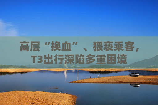 高层“换血”、猥亵乘客，T3出行深陷多重困境