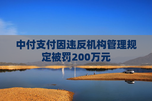 中付支付因违反机构管理规定被罚200万元