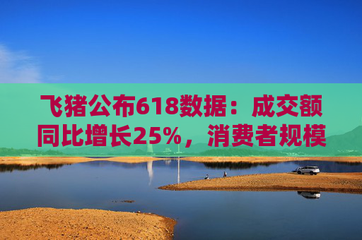飞猪公布618数据：成交额同比增长25%，消费者规模增长约30%