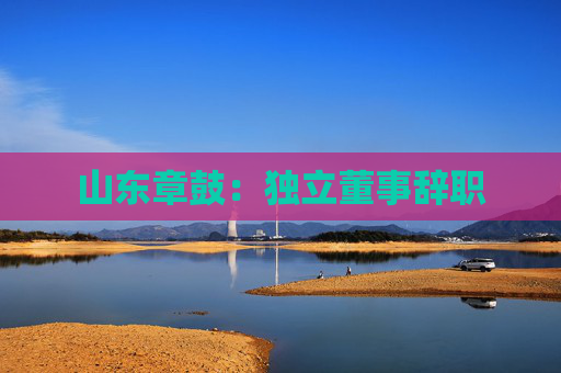 山东章鼓：独立董事辞职