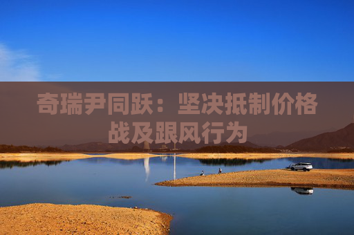 奇瑞尹同跃：坚决抵制价格战及跟风行为
