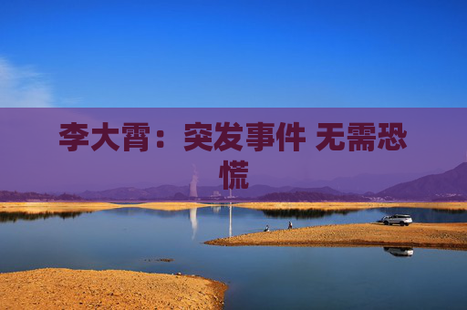 李大霄：突发事件 无需恐慌