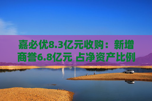 嘉必优8.3亿元收购：新增商誉6.8亿元 占净资产比例高达30%