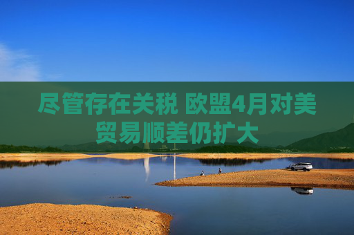 尽管存在关税 欧盟4月对美贸易顺差仍扩大