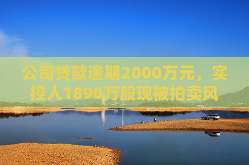 公司贷款逾期2000万元，实控人1890万股现被拍卖风险⋯⋯ST赛为遇多件“烦心事”
