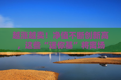 越涨越卖！净值不断创新高，这些“迷你基”将离场