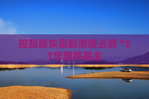 控股股东卖股清偿占资 *ST华微将易主