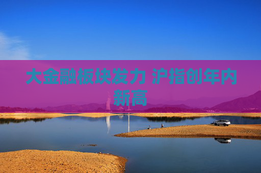 大金融板块发力 沪指创年内新高