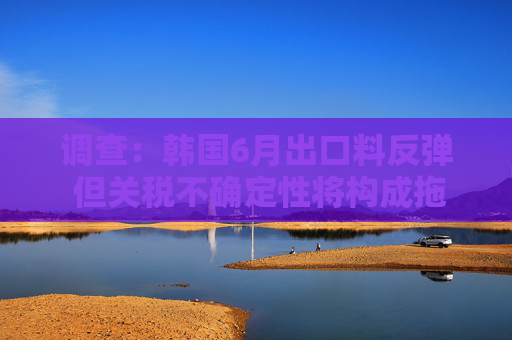 调查：韩国6月出口料反弹 但关税不确定性将构成拖累