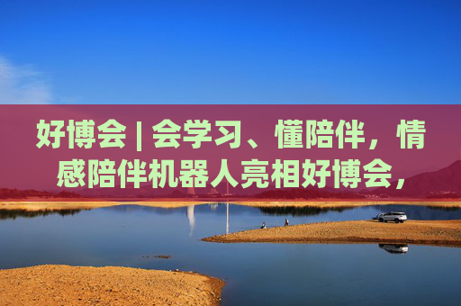 好博会 | 会学习、懂陪伴，情感陪伴机器人亮相好博会，大模型加持越用越懂你！