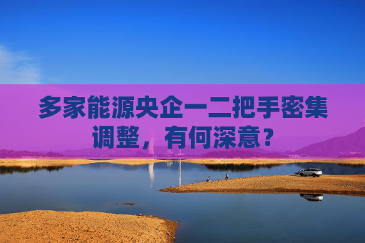 多家能源央企一二把手密集调整，有何深意？
