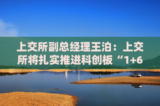 上交所副总经理王泊：上交所将扎实推进科创板“1+6”改革举措和示范案例落实落地