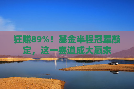 狂赚89%！基金半程冠军敲定，这一赛道成大赢家