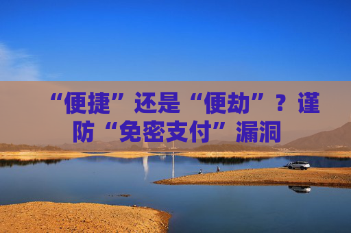 “便捷”还是“便劫”？谨防“免密支付”漏洞