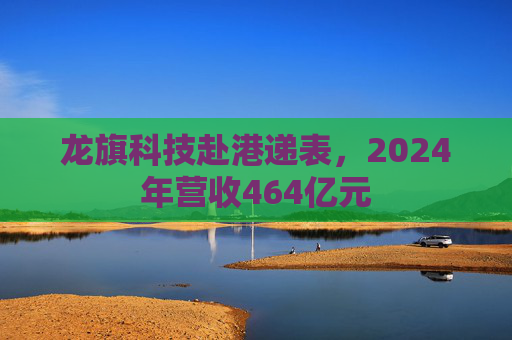 龙旗科技赴港递表，2024年营收464亿元