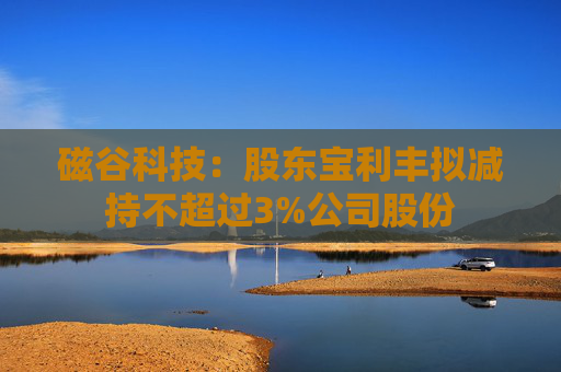 磁谷科技：股东宝利丰拟减持不超过3%公司股份