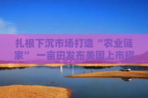 扎根下沉市场打造“农业链家” 一亩田发布美国上市招股书
