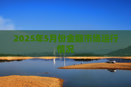 2025年5月份金融市场运行情况