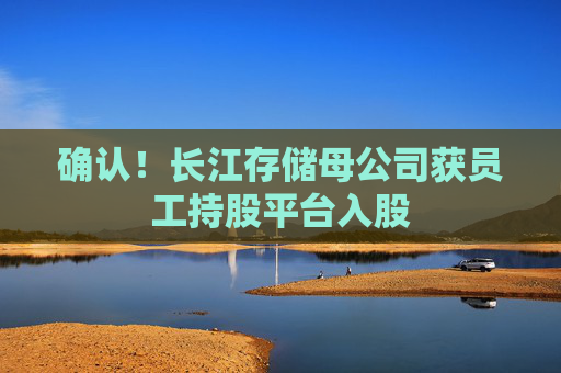 确认！长江存储母公司获员工持股平台入股