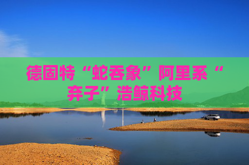 德固特“蛇吞象”阿里系“弃子”浩鲸科技