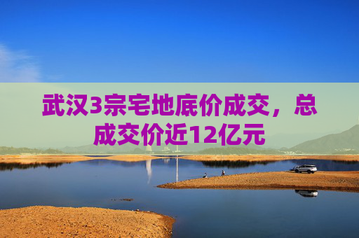 武汉3宗宅地底价成交，总成交价近12亿元