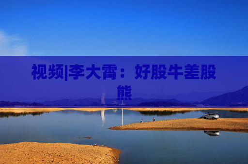 视频|李大霄：好股牛差股熊