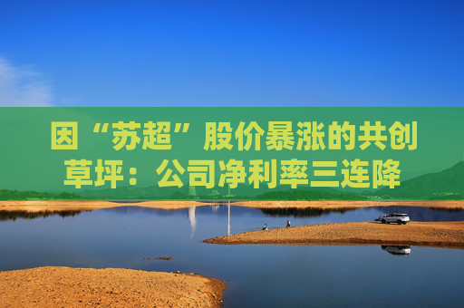 因“苏超”股价暴涨的共创草坪：公司净利率三连降