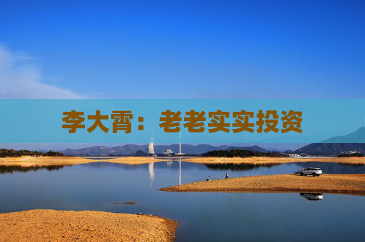 李大霄：老老实实投资