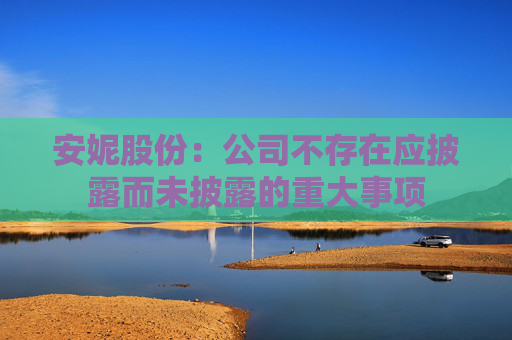 安妮股份：公司不存在应披露而未披露的重大事项