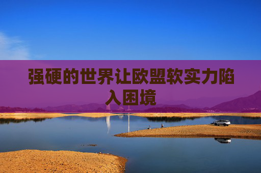 强硬的世界让欧盟软实力陷入困境